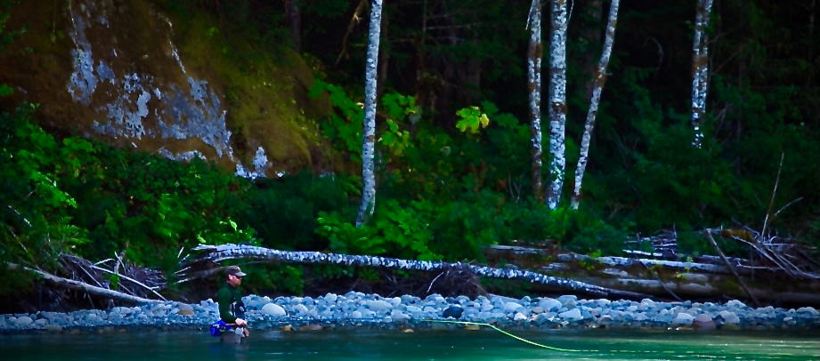 Rod Hartzog wades at the edge of a green river, fly line on the water, forest and birch trunks behind.